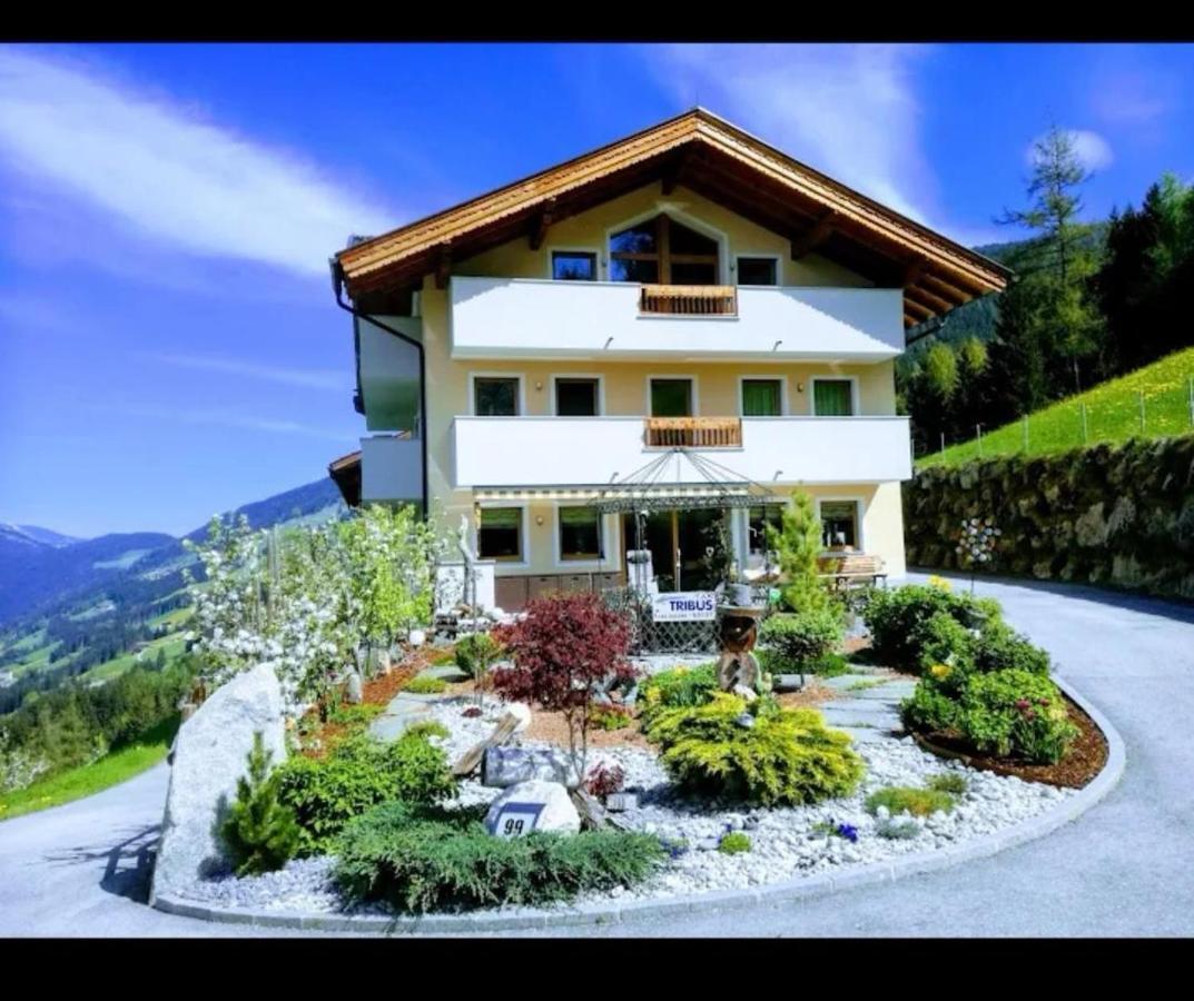 Ferienwohnungen Hinterstein Hart im Zillertal Eksteriør billede