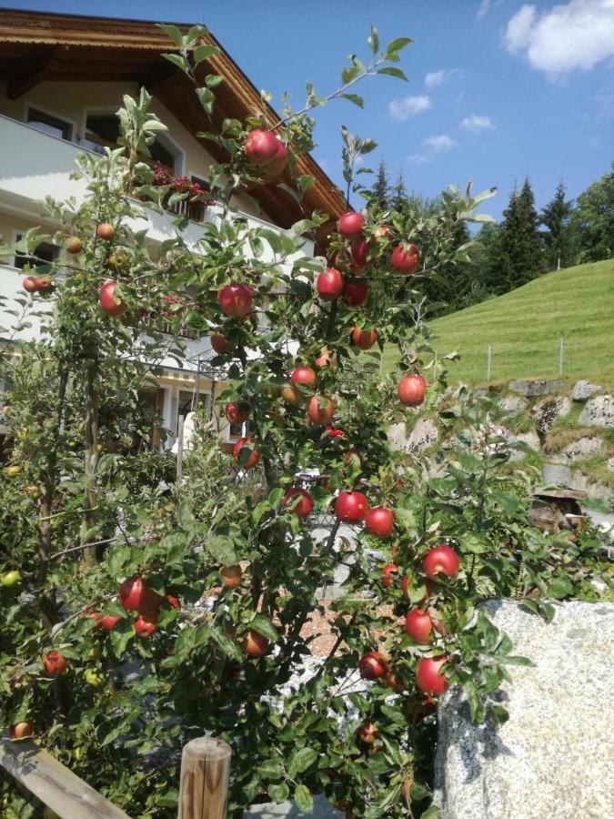 Ferienwohnungen Hinterstein Hart im Zillertal Eksteriør billede